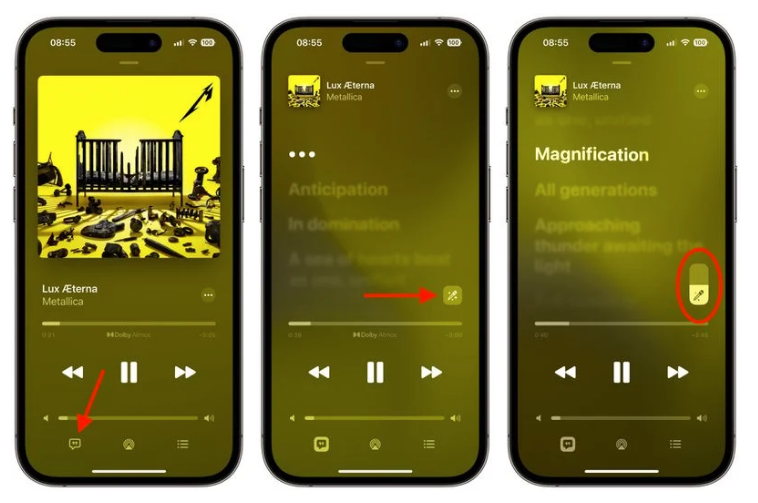 平塘苹果服务网点分享iOS 16.2 全新功能：在 iPhone 或 iPad 上使用 Apple Music 唱歌 